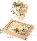 Agger Trockenblumen Klein mit Papierbox für Deko & Basteln Bild 4
