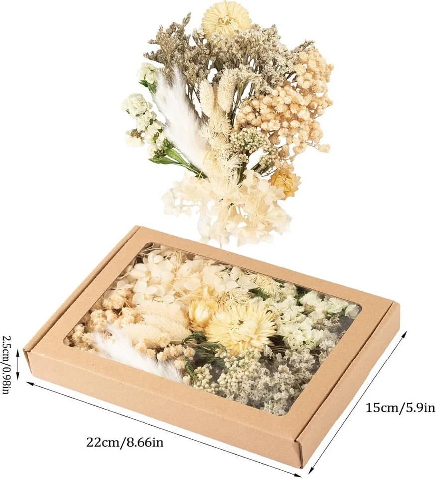 Agger Trockenblumen Klein mit Papierbox für Deko & Basteln - Bild 4