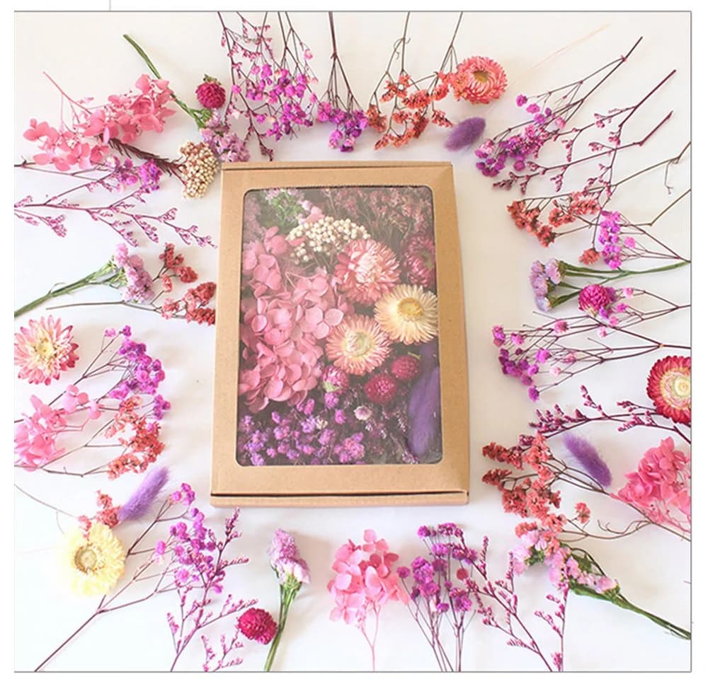 Agger Trockenblumen Klein mit Papierbox für Deko & Basteln