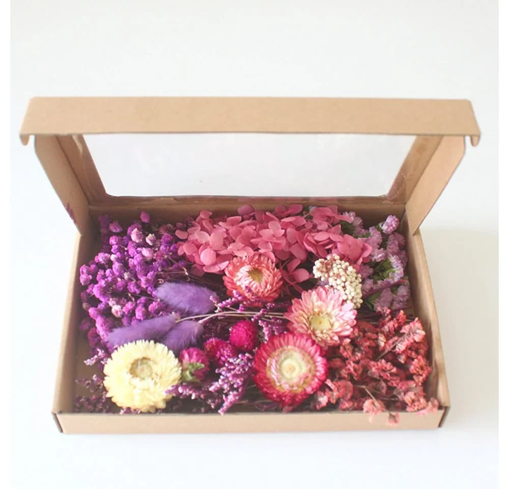 Agger Trockenblumen Klein mit Papierbox für Deko & Basteln - Bild 4