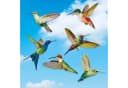 Agger Frühlings-Vogel-Fenstersticker Set 78-tlg. Bunt Transparent Bild 5