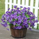 Zaewry Kunstblumenstrauß 4-teilig Lila Seidenblumen für Balkon Bild 4