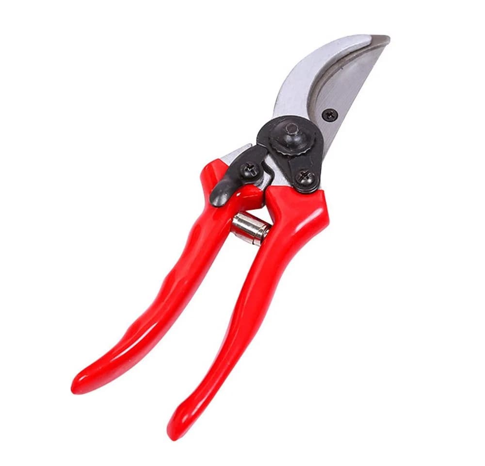 SIKAINI Gartenschere Rostfrei Ergonomisch für Obstbäume & Sträucher - Bild 2