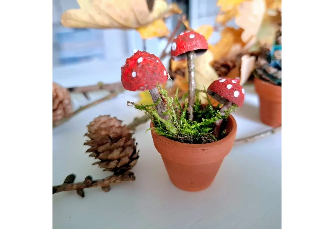 meytrade 50 Natürliche Eichelschalen Bastelnaturmaterial Herbstdeko
