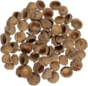 meytrade 50 Natürliche Eichelschalen Bastelnaturmaterial Herbstdeko Bild 2