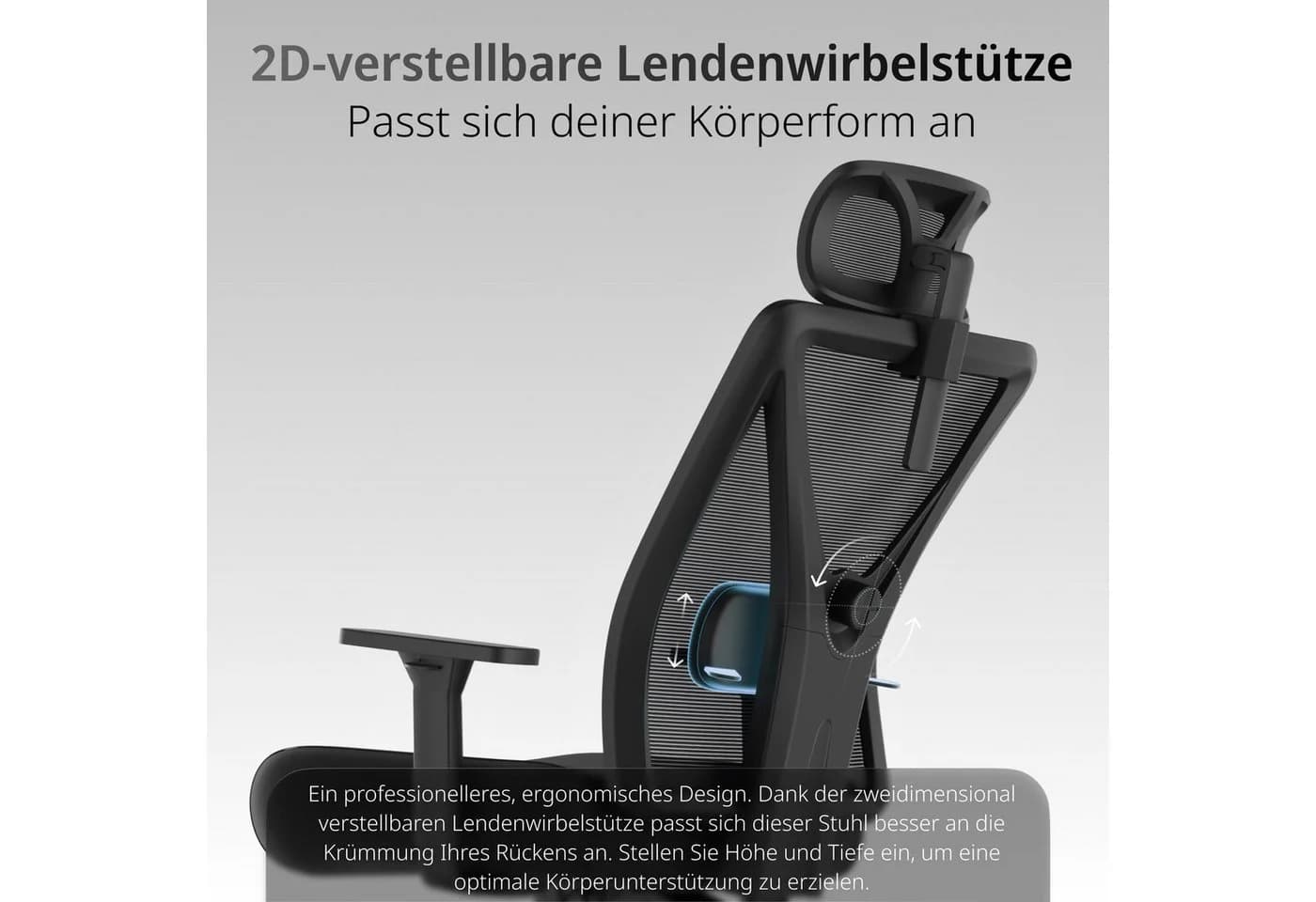 Dowinx Bürostuhl mit höhenverstellbarer Rückenlehne und 3D-Armlehnen Schwarz
