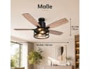 Jibenhome Deckenventilator mit Licht Schwarz Fernbedienung Bild 3