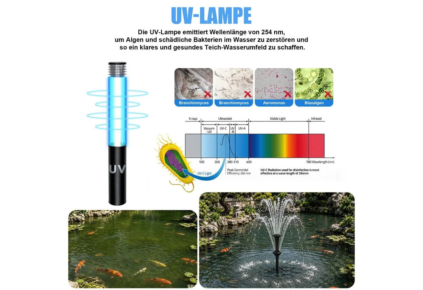 XIIW Springbrunnenpumpe mit UVC-Klärer, RGB-Beleuchtung & 3 Düsen