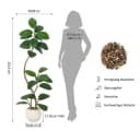 Künstlicher Geigenfeigenbaum GarveeMore 150 cm Bild 3
