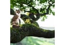 GarveeMore Gartenstatue Eule 7 Zoll Harz Braun Realistisch Bild 3