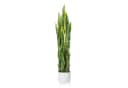 GarveeMore Künstliche Sansevieria 90cm mit Topf Bild 2
