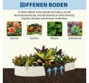 GarveeMore Hochbeet Metall Pflanzkasten Rostbeständig Beige/Grün Bild 3
