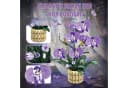 Bundviel Purple Orchid Flower Baustein-Spielbausteine 832 St. Lila Bild 1