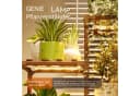 Bamworld Pflanzenständer mit Lampe 3 Ebenen Holz Braun Bild 4