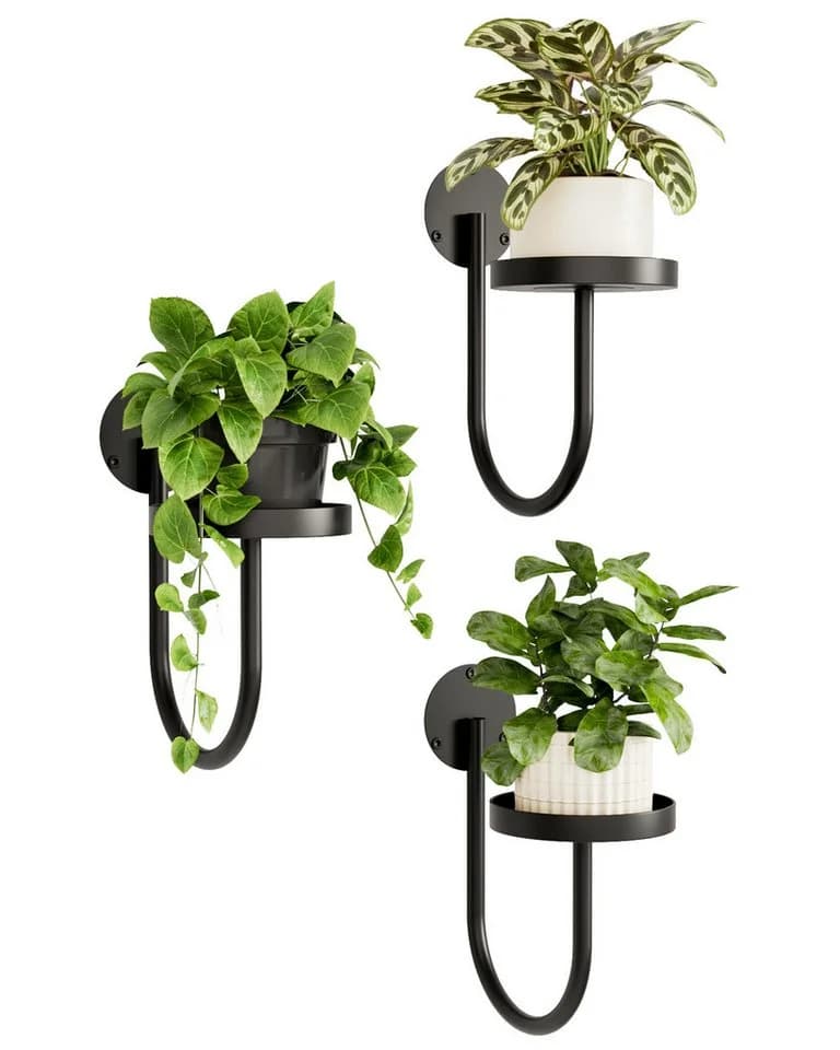 Bamworld Blumenampel Hängegefäße Wandhalter Schwarz 3er-Set - Bild 2