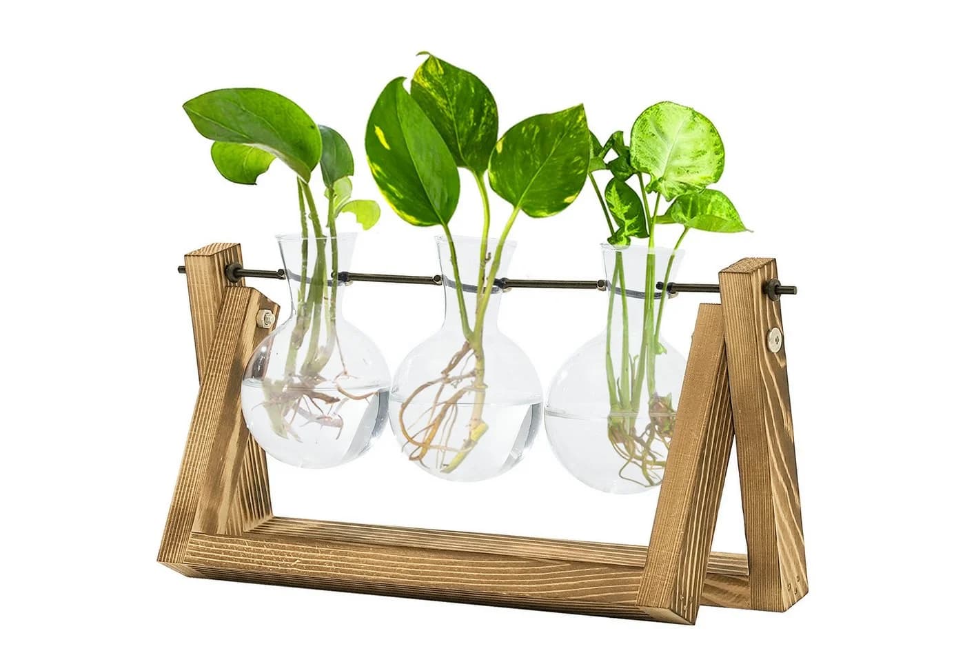Bamworld Hydrokultur-Station mit Holzständer & 3 Glasvasen - Bild 3