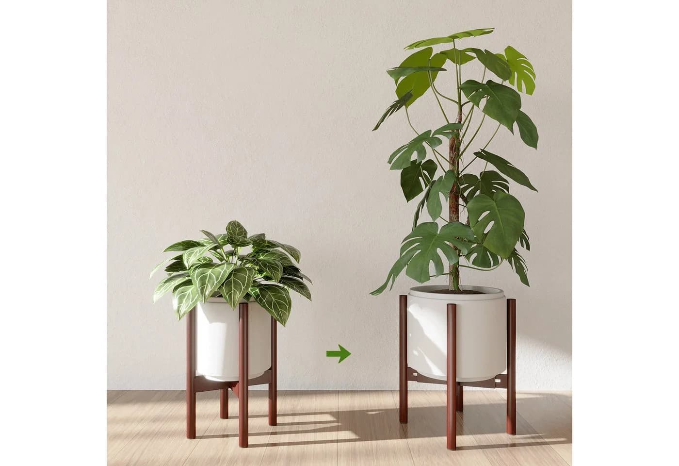 Bamworld Blumenständer Pflanzenhocker Höhenverstellbar Kippsicher - Bild 4