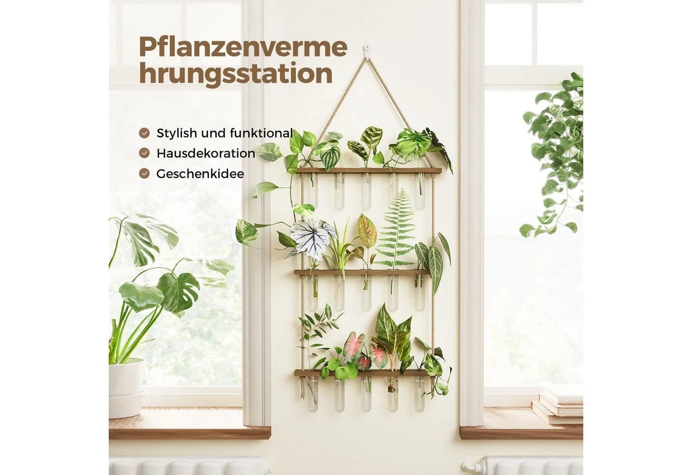 Bamworld Vermehrungsstation 3-stufig mit 5 Glasröhrchen Braun - Bild 4