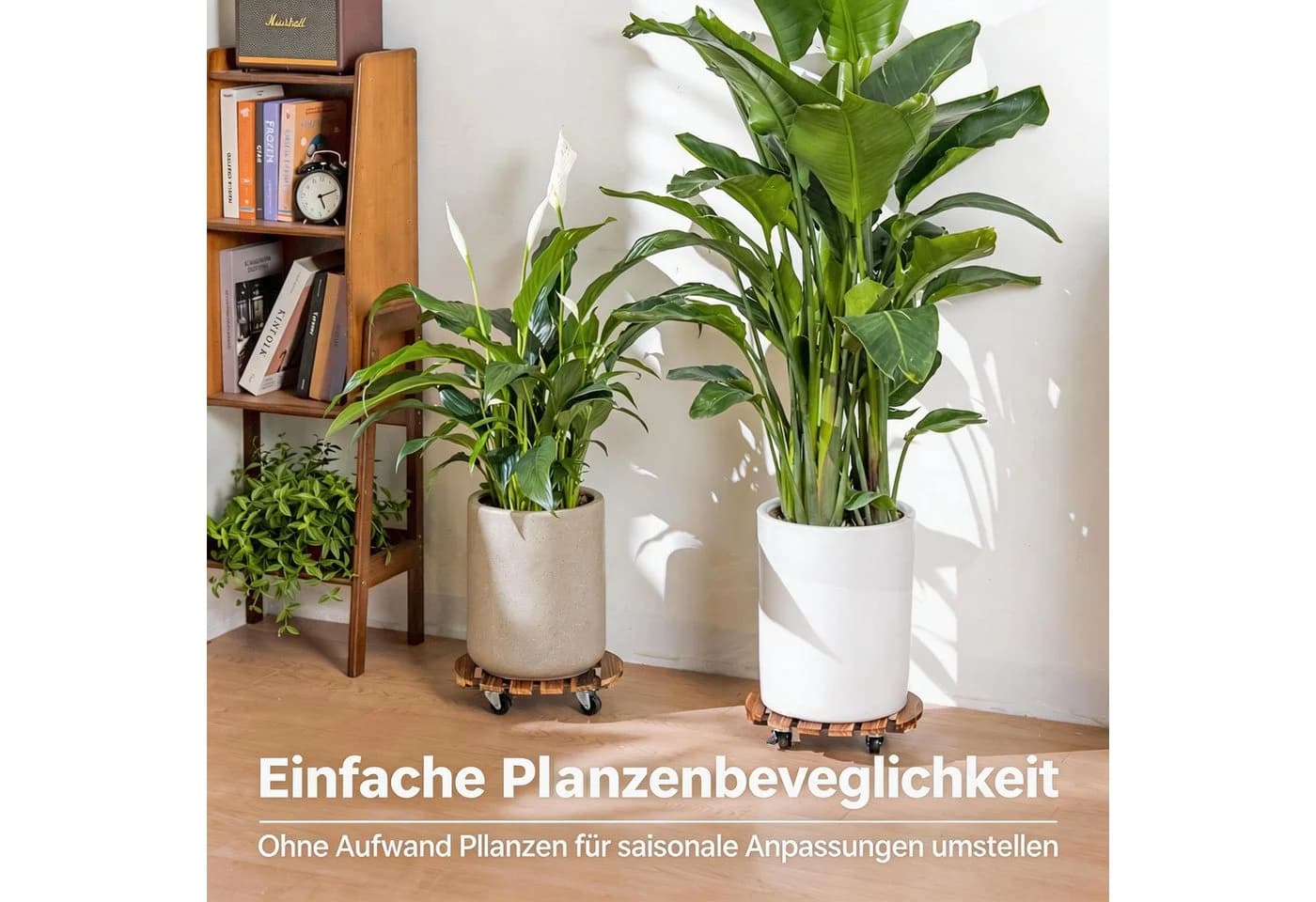 Bamworld Pflanzenroller 4er-Set Holz 30,5 cm mit Bremse - Bild 5