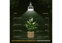 kowdom LED Pflanzenlampe Vollspektrum E27 150 LEDs Bild 1
