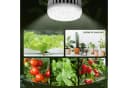 kowdom LED Pflanzenlampe Vollspektrum E27 150 LEDs Bild 5