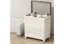Luckice Aufbewahrungsbox mit Rädern 85L Bild 2