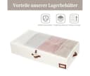 Minicloss Aufbewahrungsbox Faltbar Transparent Unterbett Bild 3