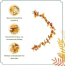 Sorvyzxn 2er Set Herbstlaub-Girlande 3,5 m Seide Rot/Orange/Gelb Bild 4
