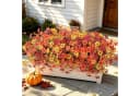 Zyronn Kunstblumenstrauß 6er Set Herbst Deko Bunt Bild 5