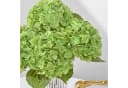 Agger Kunstblumenstrauß 4Pcs Seiden Hortensie Grün Bild 5