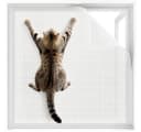Srvillg Selbstklebendes Moskitonetz Katzenschutz Insektenschutz Weiß Bild 2