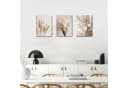 Zyronn Wandbild Boho Pampasgras Beige Leinwandbild 3er Set Bild 1