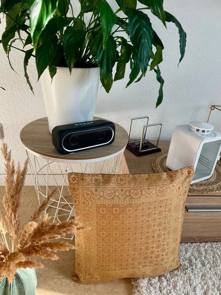 Ruwado Kissenbezug Handgefertigt Banarasi Seide Beige-Gold