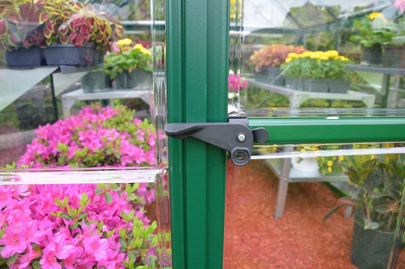 Palram Canopia Gewächshaus Harmony Grün Polycarbonat - Bild 5