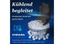 CHICASA Orthopädisches Memory Foam Kopfkissen grau ergonomisch Bild 4