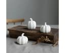 Storefactory Keramikkürbis Hagsten Weiß Herbstdeko Bild 1