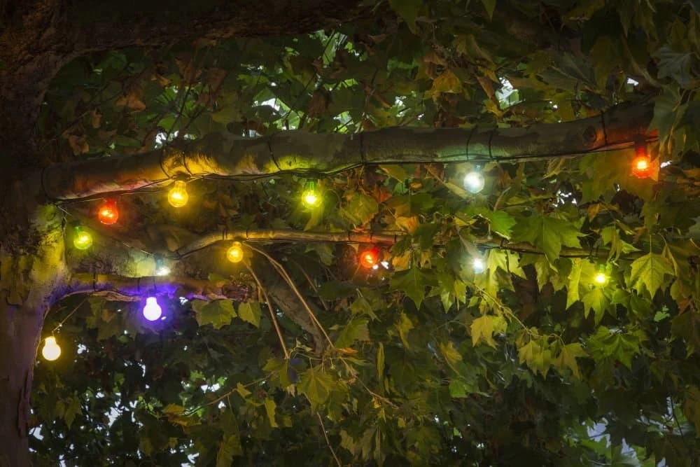 Konstsmide LED-Lichterkette Schwarz Bunt 14,5m Gesamtlänge - Bild 3