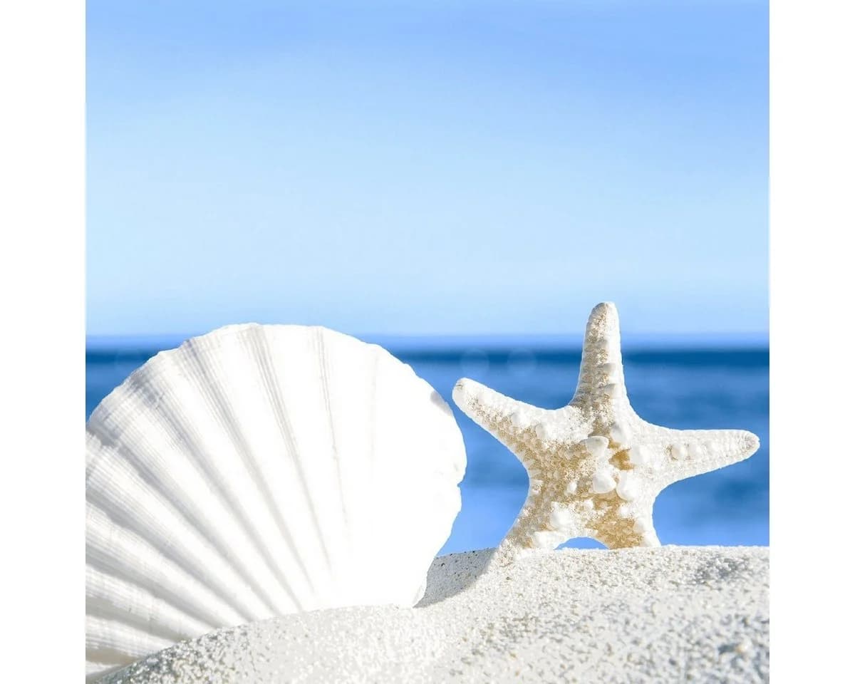 HOME FASHION Papierserviette 20 St. Shells by the Sea Blau/Weiß