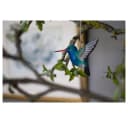 Wildlife Garden Dekoobjekt Dekovogel Breitschnabelkolibri Bunt 2-teilig Bild 3