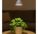 Venso EcoSolutions Pflanzenlampe LED E27 Vollspektrum 15W Bild 4