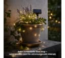 STAR TRADING Solar Lichterkette Dew Drop 50LED Silberdraht Bild 3