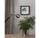 STAR TRADING LED-Leuchtmittel "Soft Glow" E14 1,5W 2100K warmweiß Bild 4