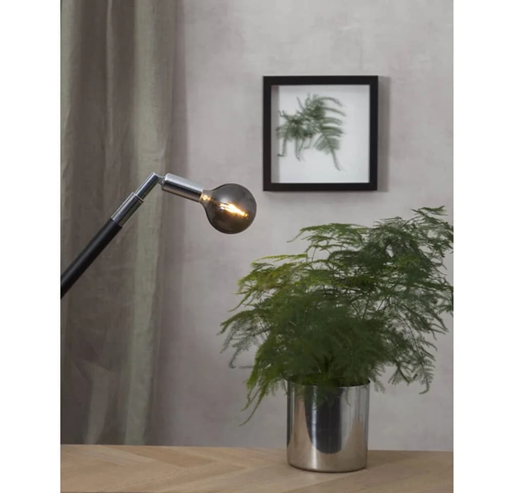 STAR TRADING LED-Leuchtmittel "Soft Glow" E14 1,5W 2100K warmweiß - Bild 4
