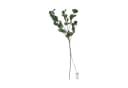 STAR TRADING LED Dekozweig Eucalyptus mit Timer und warmweißem Licht Bild 2