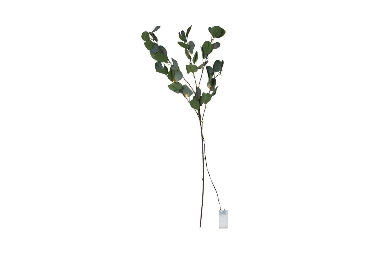 STAR TRADING LED Dekozweig Eucalyptus mit Timer und warmweißem Licht - Bild 2