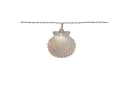 STAR TRADING LED-Lichterkette 10 Muscheln warmweiß Timer Bild 3