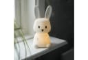 STAR TRADING LED Nachtlicht Functional Bunny, Batterie, Timer, warmweiß und bunt Bild 1