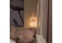 STAR TRADING LED Nachtlicht Functional Bunny, Batterie, Timer, warmweiß und bunt Bild 3