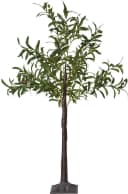 Star Trading Deko-Baum Olivec mit warmweißen LEDs Bild 2