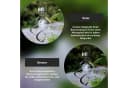 STAR TRADING LED Solarleuchte Roma Solar Windspiel Edelstahl Bild 4